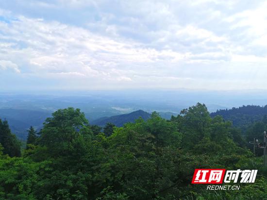 从海拔1131米的岣嵝峰俯瞰环洞村,满眼皆是绿色。