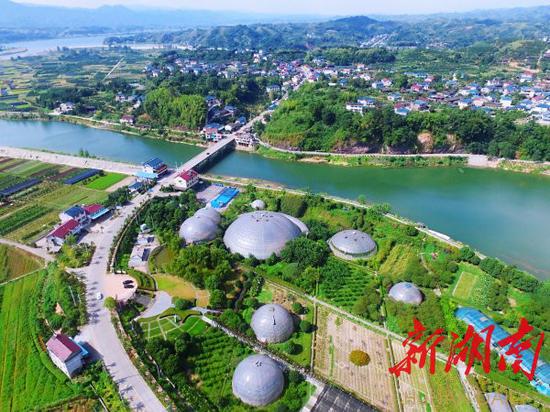 （8月11日，怀化市洪江区桂花园乡茅头园村，现代农业科普示范基地星空庄园的球形温室大棚分布江畔。）