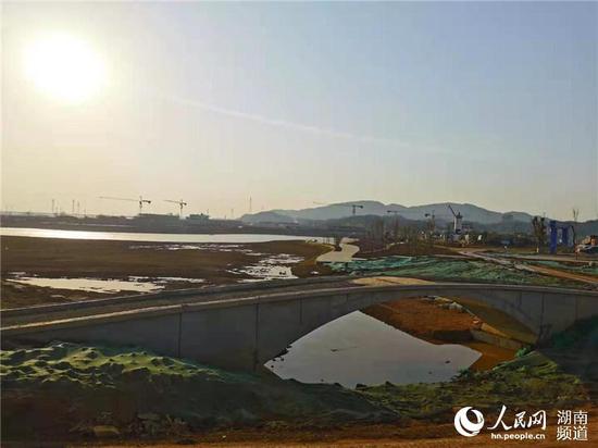 清水湖公园已初具规模。实习生 刘清心摄