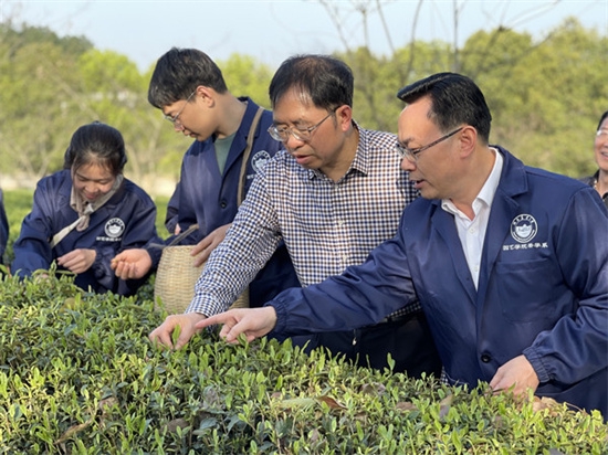 长安基地的现场教学场景。李晗枫摄