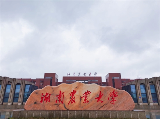  湖南农业大学。李芳森摄