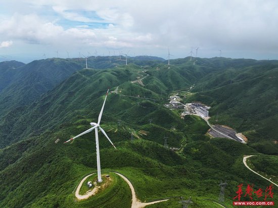 (桂东县万洋山景区,风车草海相映成趣。童迪 摄)