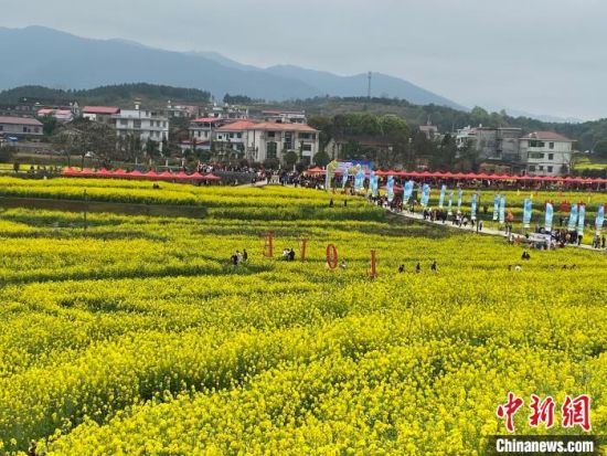 2021湖南油菜花节启幕农旅融合助推乡村振兴