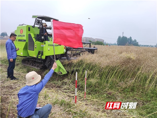 5月13日,湖南省油菜机收减损大比武现场,参赛机手正在驾驶农机作业。
