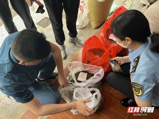 执法人员发现场所内违法违规生产的中药丸。