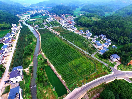 桂东植物园 桂东县委宣传部供图