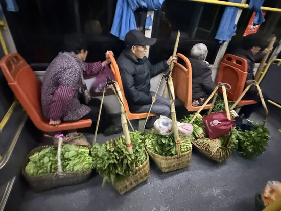 （赶早出去卖菜的老人）