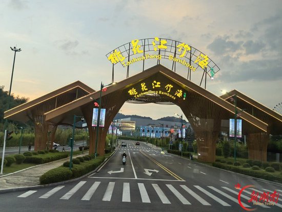 桃花江竹海景区。