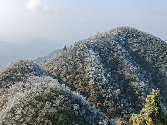 安化的高山雾凇 供图 安化县融媒体中心