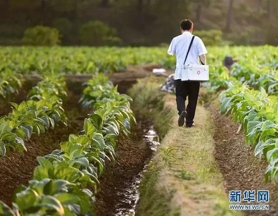 　　资料图：乡村医生走在乡间出诊的路上。新华社记者 胡晨欢 摄