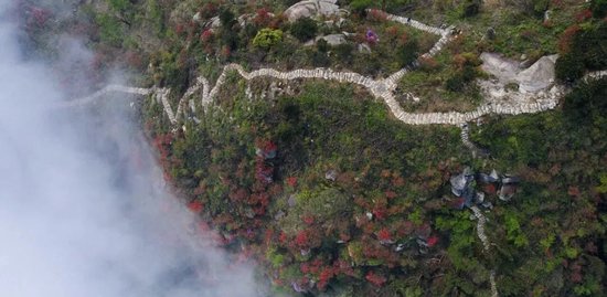 紫盖峰文旅片区。图/景区