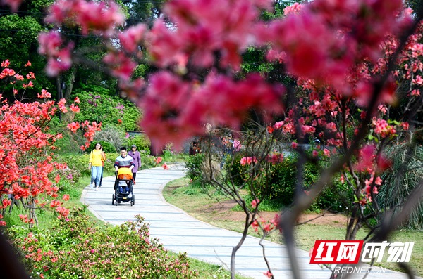 湖南省植物园。（资料图）