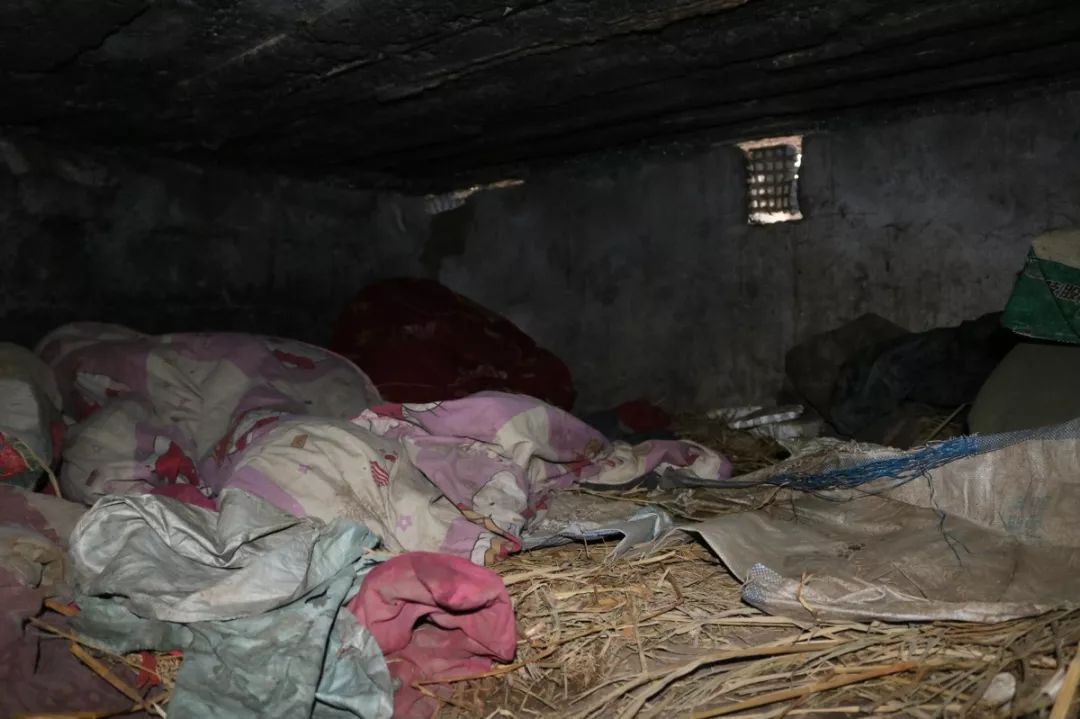 湖南一强迫他人劳动犯罪团伙被端 11名智障者被救出