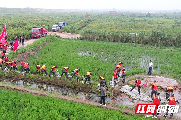 中州大堤险情处置现场。