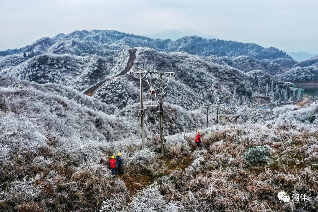 12月18日，雪峰山国家森林公园，国网洪江市供电公司“雪峰飞燕”共产党员服务队队员穿梭在冰雪纷飞的崇山峻岭中，巡视供电线路，确保低温冰雪天气电网平稳可靠运行。胡浩 摄