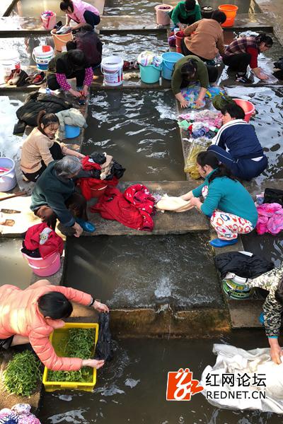 这样的洗衣场景让大家觉得十分“壮观”。(网友供图)