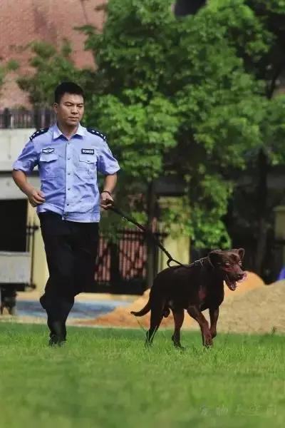 肖建伟与警犬“追风”