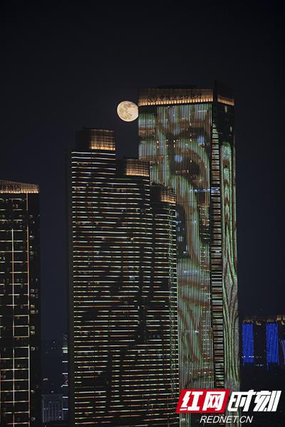夜色那么美,长沙等你约。