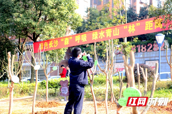 黄土地“穿上了”绿衣服 星城大地绿意涌动