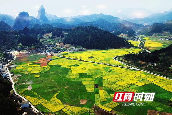 崀山景区对14岁以下儿童免票（图）