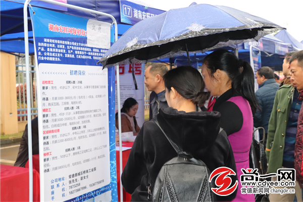 3000求职者齐聚常德高新区 重点企业现场揽才