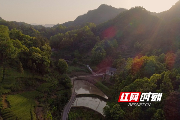 石门县壶瓶山镇平洞村村民王美绒的家。