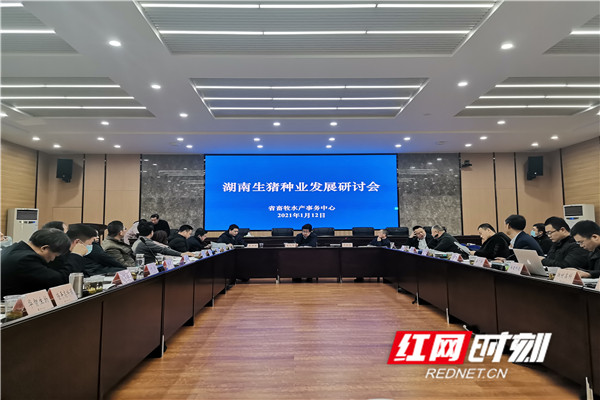 1月12日,湖南生猪种业发展研讨会在长沙召开。