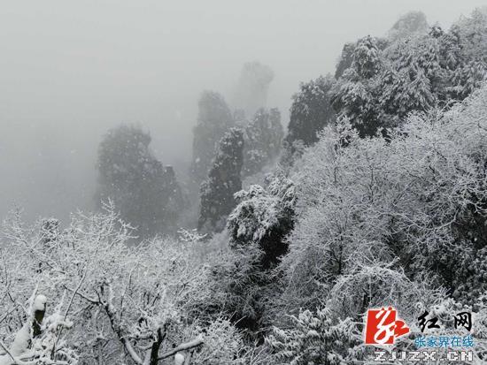 张家界核心景区武陵源迎来首场冬雪