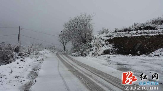 桑植县部分高寒山区迎来首场瑞雪(组图)