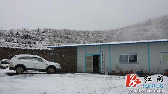 桑植县部分高寒山区迎来首场瑞雪(组图)