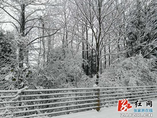 张家界核心景区武陵源迎来首场冬雪