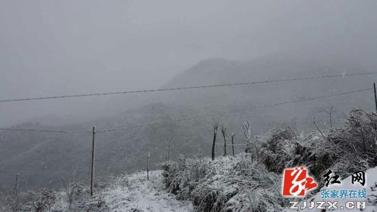 桑植县部分高寒山区迎来首场瑞雪(组图)