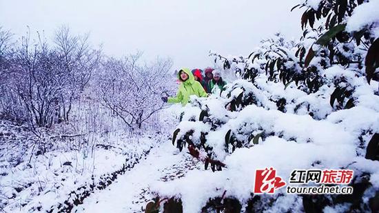 雪势迅速变大，山顶很快出现积雪。