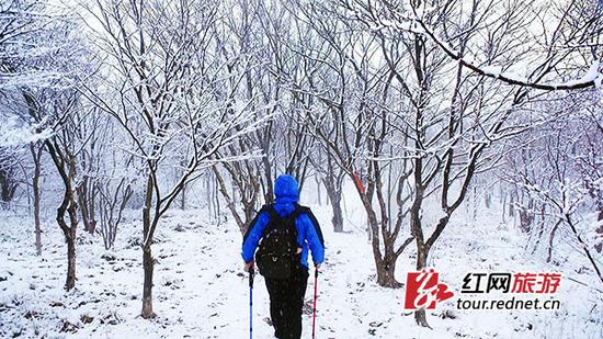 3月26日午间，10余位徒步爱好者在大围山顶突遇一场大雪。