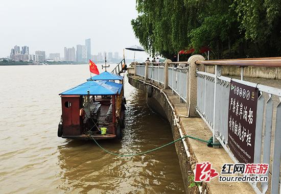 这些“黑游船”在橘子洲栏杆处泊船收客,完全无视警示牌。