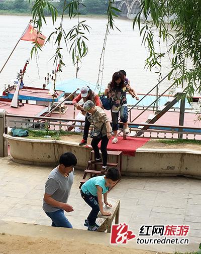 “黑游船”在橘子洲经停站点,无一例外皆由木板或铁皮简易搭建,且翻越栏杆。