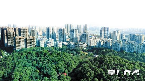 湘江新区吸引了越来越多的高新科技企业入驻。长沙晚报记者 李锋 摄