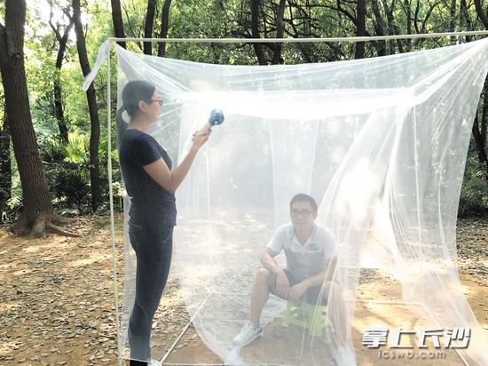 一名工作人员坐在蚊帐内引诱蚊子,另一人持电动吸蚊器收集蚊子,以监测蚊子密度。长沙晚报记者 彭放 摄