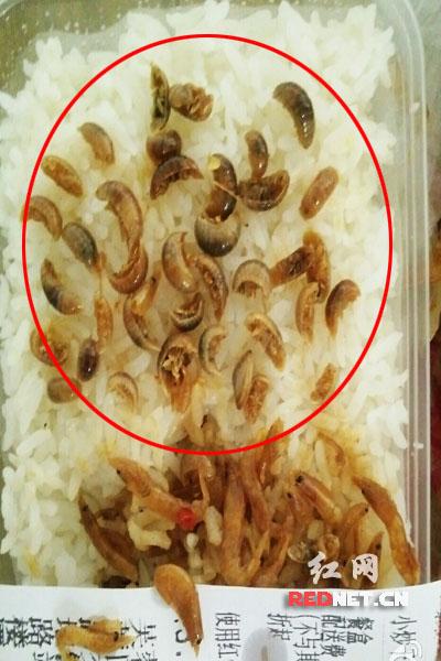  长沙一网友在订餐平台买的小炒干河虾，不料吃出很多虫子。 