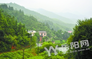 平江县长寿镇坳上村,山上树木葱茏