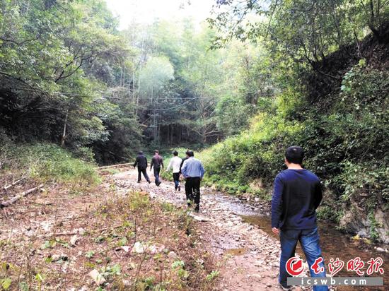 　　浏阳市林业局野生动植物保护科的专家在当地村民的带领下到山林中寻找令黑山羊失踪的“凶手”。 长沙晚报通讯员 李小雷  摄