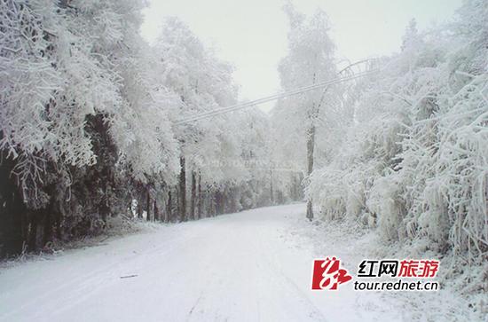 (东山峰的雾凇。石门县旅游局供图)