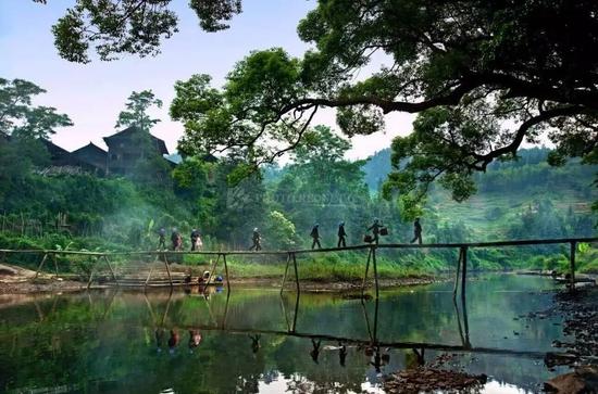 醉美通道 圆圆圆123/摄