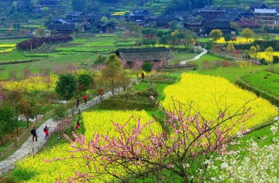 新化县奉家古桃花源 圆圆圆123/摄