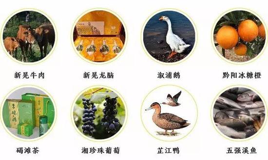 邵阳