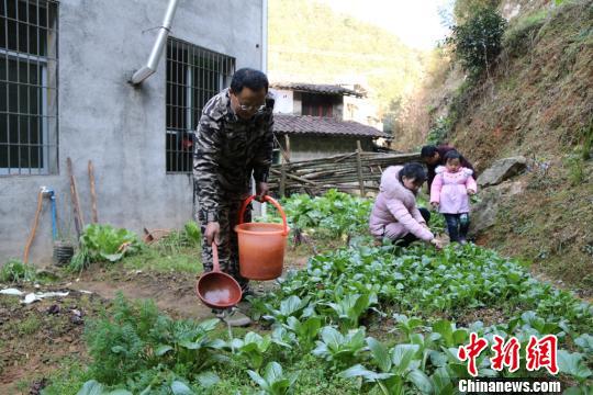 郭谦发(左)在菜地劳动，侄女郭逸飞一家来帮忙。　王冬媛 摄