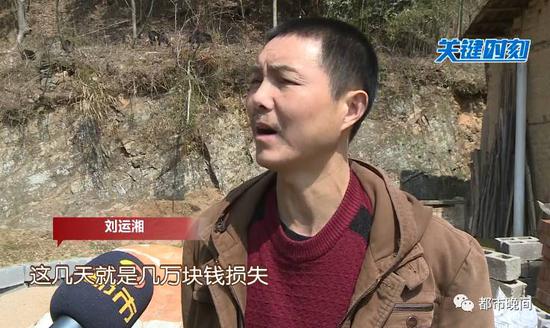每一天，老刘都要承受着巨大的经济损失。那么，袭击羊群的真凶究竟是什么呢？为了找到答案，记者找到了加义镇咏生村村委会。