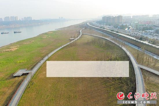 今年初,湘江西岸江滩提质工程完工,打造了一道由堤顶观光步道、堤腰综合慢行道和滩地悠游步道组成的三级慢行绿道系统,让游人在任何水位情况下都可以欣赏湘江风光。长沙晚报记者 余劭劼 摄