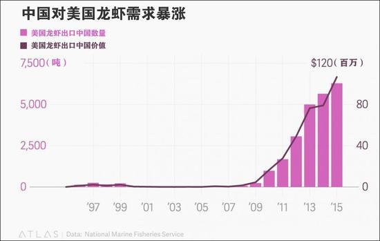 中国吃货几乎已经完全拯救了缅因州以及美国的龙虾产业。