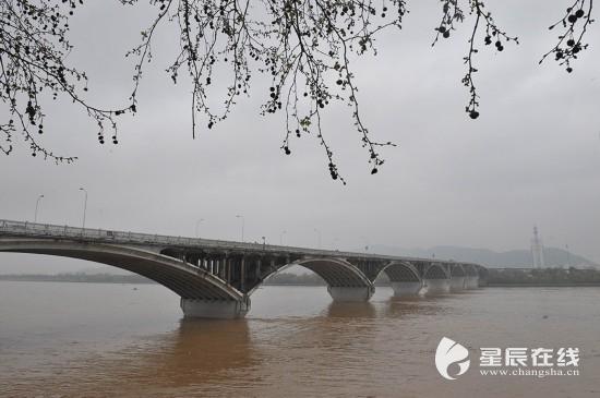  这是高水位下的长沙橘子洲大桥附近湘江航道(3月23日摄)。 
